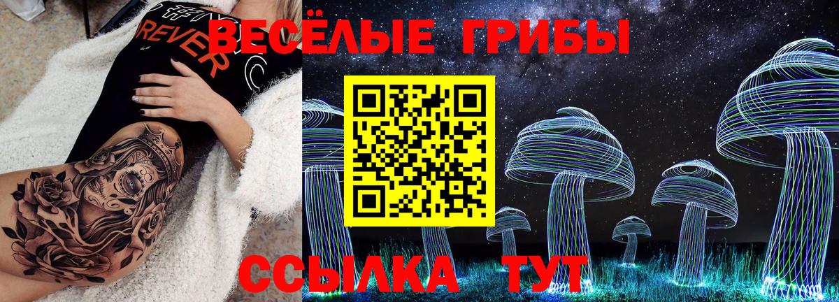 Галлюциногенные грибы GOLDEN TEACHER  Галлюциногенные грибы прущие грибы  Ейск  Вход с VPN 